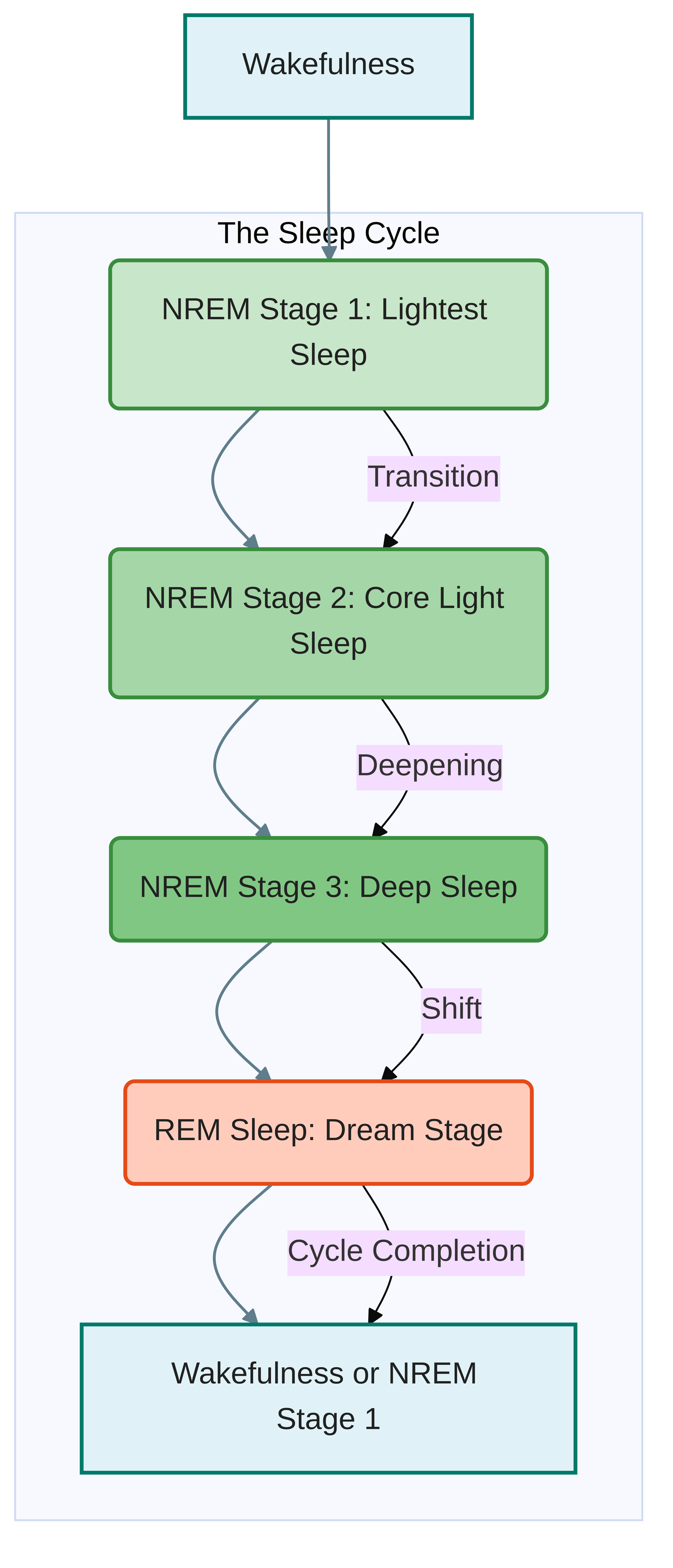 Sleep Stages Diagram